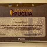 ...il cui lavoro � stato riconosciuto anche dal Cnr, che attraverso il progetto SaveGrainPuglia ha preso in �custodia� dei campioni di questi rari semi, oggi conservati all�interno della banca del germoplasma del Campus di Bari
